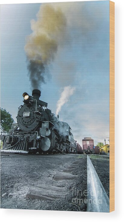 Transportation Wood Print featuring the photograph Train From the Rail by Robert Frederick