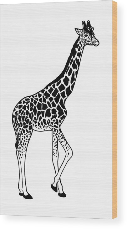 Giraffe Wood Print featuring the drawing Giraffe - ink illustration #4 by Loren Dowding