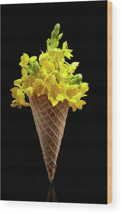 Black Background Wood Print featuring the photograph Flower Ice Cream Cone by Shana Novak