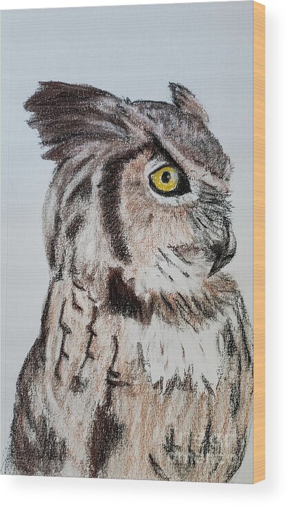 Birds Wood Print featuring the drawing Eagle Owl #1 by Mary Capriole