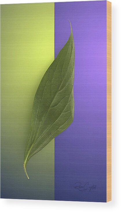 Floral Leaves Wood Print featuring the photograph A Long, Tall Peony Leaf by Rene Crystal