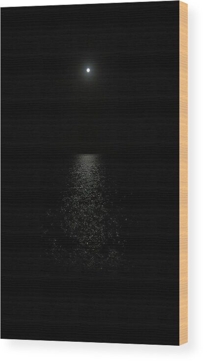 Darkness Wood Print featuring the photograph Darkness Darkness by Micah Offman