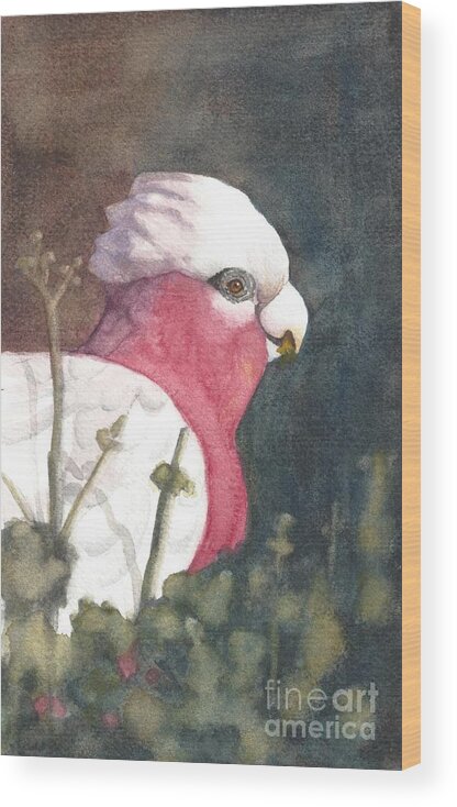 Bird Wood Print featuring the painting Gilaa, Wiradjuri - Galah by Vicki B Littell