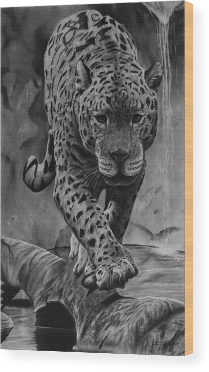 Jaguar Drawing Wood Print featuring the drawing Panthera by Greg Fox