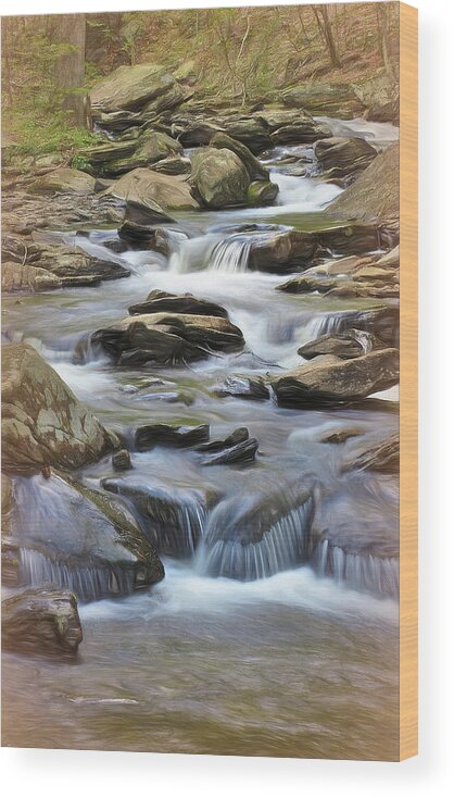 Rickett's Glen State Park Wood Print featuring the photograph Spring Rapids by Bearj B Photo Art