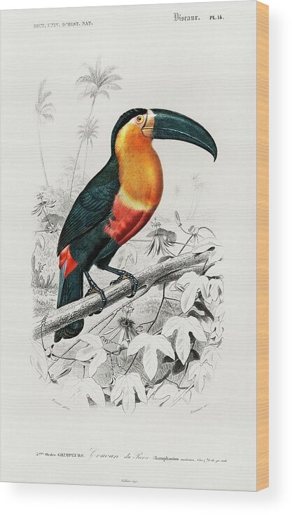 Toucan Wood Print featuring the mixed media Toucan by World Art Collective