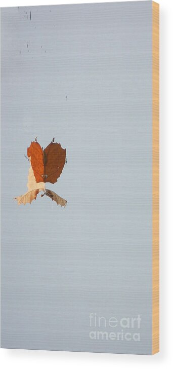 Marcia Lee Jones Wood Print featuring the photograph Butterfly Wings by Marcia Lee Jones