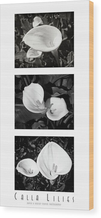 Collage Wood Print featuring the photograph Calla Lilies Vertical with Title and Nameplate by David Doucot