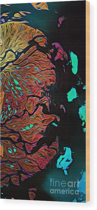 Russia Wood Print featuring the digital art Lena River Delta Russia by Phill Petrovic
