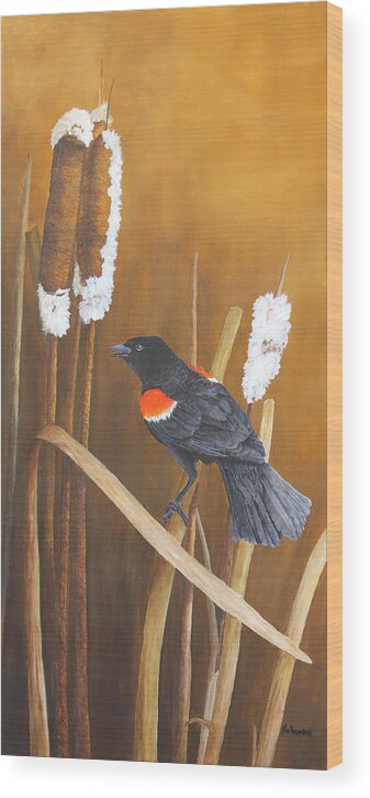 Song Bird Wood Print featuring the painting Marsh Song - Red-winged Blackbird by Johanna Lerwick