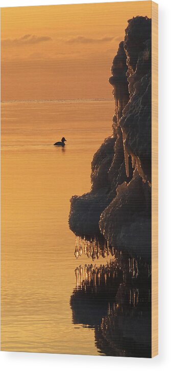Sunrise Wood Print featuring the photograph Sunrise Cruise by Theo OConnor