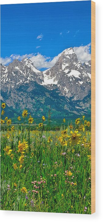 Tetons Peaks And Flowers Wood Print featuring the photograph Tetons Peaks and Flowers Center Panel by Greg Norrell