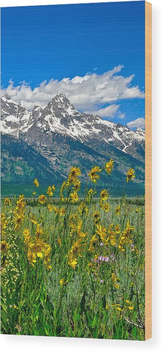 Tetons Peaks And Flowers Wood Print featuring the photograph Tetons Peaks and Flowers Right Panel by Greg Norrell