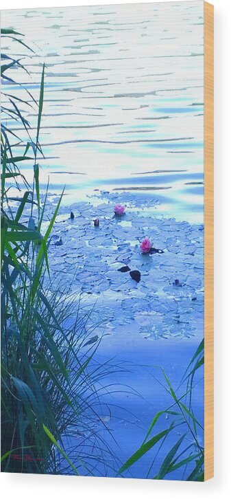 Landscape Wood Print featuring the photograph Water Lilies Blue by Theo Danella