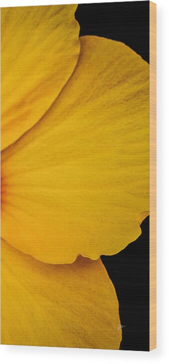 Yellow Hibiscus Wood Print featuring the photograph Yellow Hibiscus Right Side of Triptych by TK Goforth