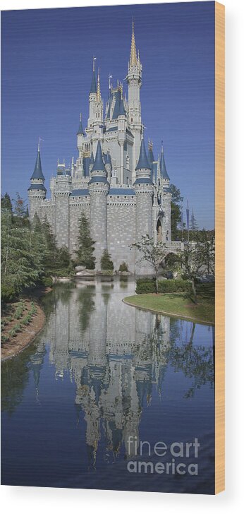 Disney World Wood Print featuring the photograph Cinderella's Castle by Tim Mulina