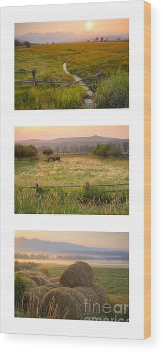 Salmon Wood Print featuring the photograph Country Pink Trio by Idaho Scenic Images Linda Lantzy