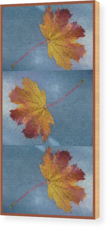Leaves Wood Print featuring the photograph Falling Autumn Leaves by Margie Avellino
