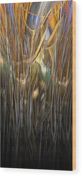 The Onyx Gets A New Look Wood Print featuring the digital art Onyx Growth II by Steve Sperry