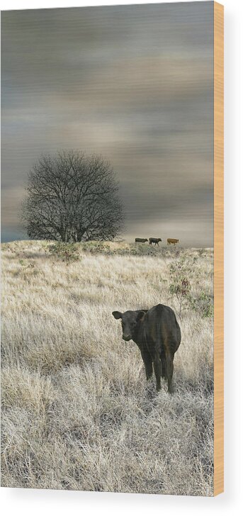 Animal Wood Print featuring the photograph 4444 by Peter Holme III