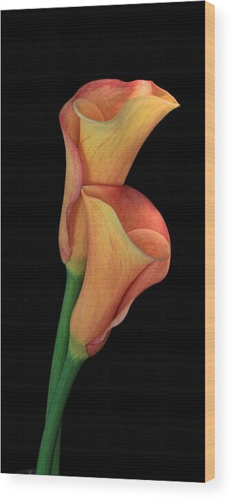 Floral Photography Wood Print featuring the photograph Bella Fiore by Mary Buck