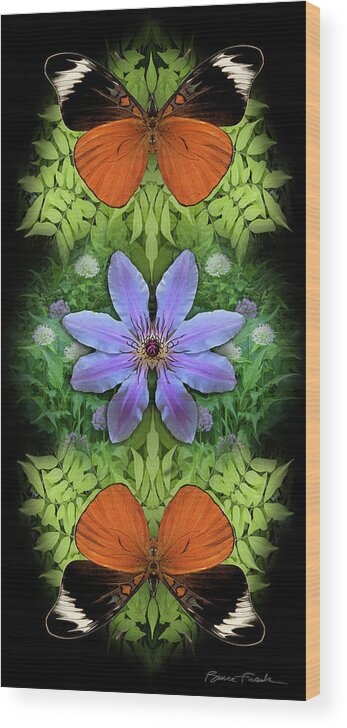 Botanical Wood Print featuring the photograph Clematis by Bruce Frank