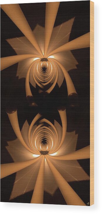 Collage Wood Print featuring the digital art Flower Light by Ronald Bissett