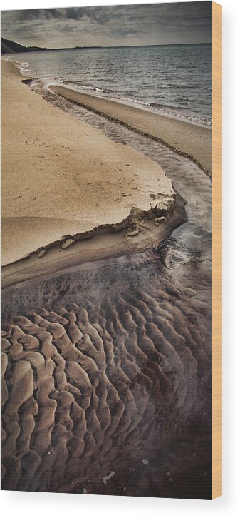 Beach Wood Print featuring the photograph Michigan Beachscape by Ron Weathers