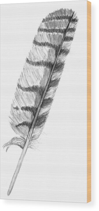 Owl Wood Print featuring the drawing Owl Feather by Kevin Callahan