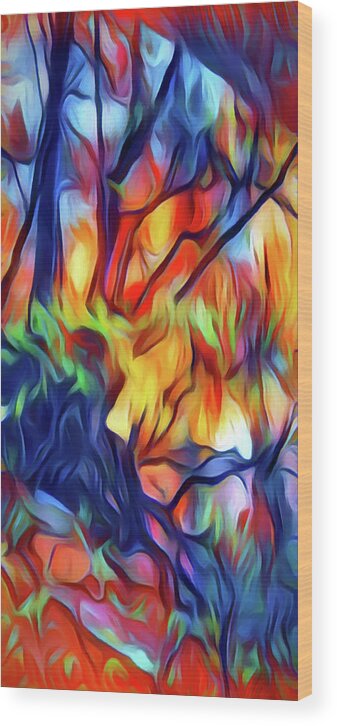 Abstract Wood Print featuring the photograph Taylors Creek by David Hansen