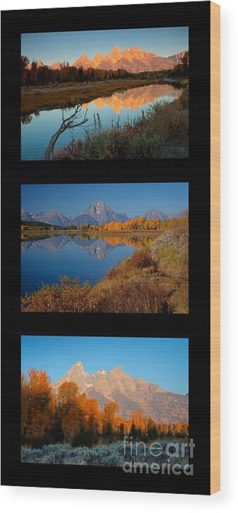 Tetons Wood Print featuring the photograph Tetons Park Trio by Idaho Scenic Images Linda Lantzy