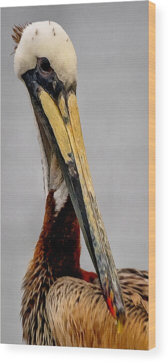 California Wood Print featuring the digital art The Pelican by Ernest Echols