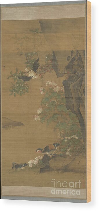 Animal Wood Print featuring the drawing Mandarin Ducks And Cotton Rose by Heritage Images