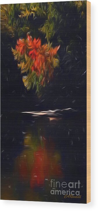 Water Wood Print featuring the photograph Fire and Water by Carol Randall