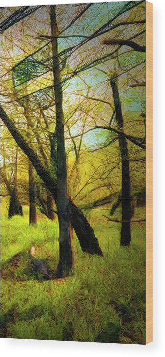 Carolina Wood Print featuring the photograph The Beautiful Forest Trail in Abstract in Right Vertical Triptyc by Debra and Dave Vanderlaan