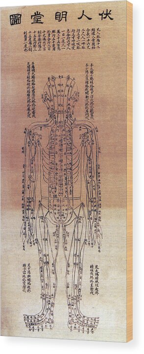 Science Wood Print featuring the photograph Chinese Acupuncture Chart, 1906 #2 by Science Source