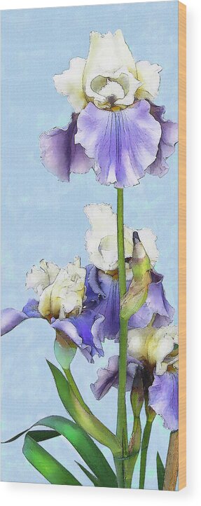 Jane Schnetlage Wood Print featuring the digital art Blue And White Iris by Jane Schnetlage