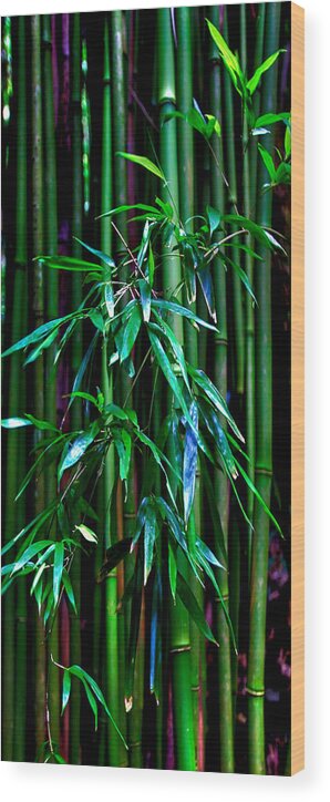 Bamboo Tropical Maui Hawaii Hana Jungle Tropics Wood Print featuring the photograph Bamboo by James Roemmling