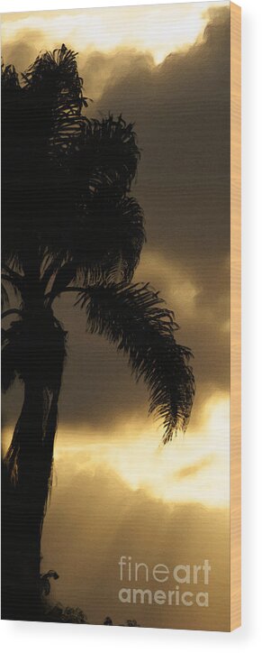 Palm Wood Print featuring the photograph Cloud Break by Linda Shafer