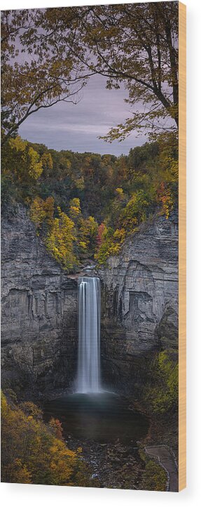 New York Wood Print featuring the photograph Taughannock Falls #1 by Robert Fawcett