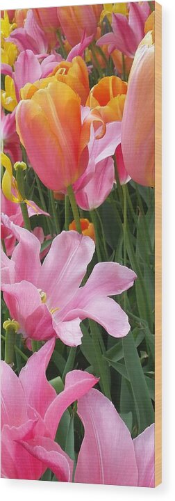 Floral Wood Print featuring the photograph Open and Pink by Caryl J Bohn