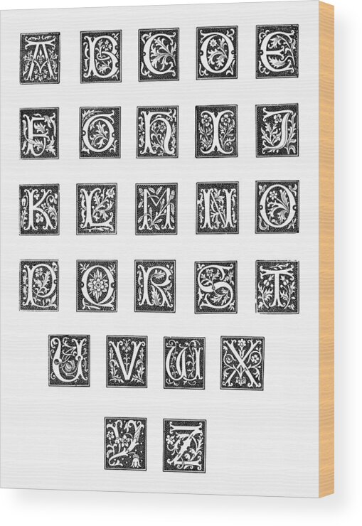 16th Century Wood Print featuring the painting Alphabet, 16th Century #1 by Granger