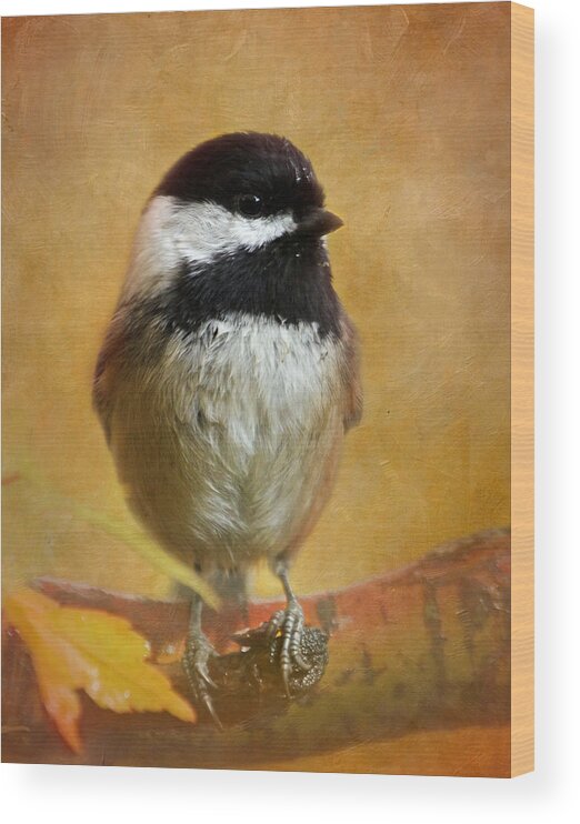 Chickadee Wood Print featuring the photograph Chickadee #1 by Angie Vogel