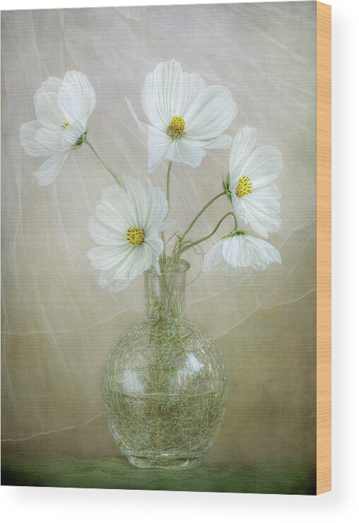 Cosmos Wood Print featuring the photograph Cosmos Breeze #1 by Mandy Disher