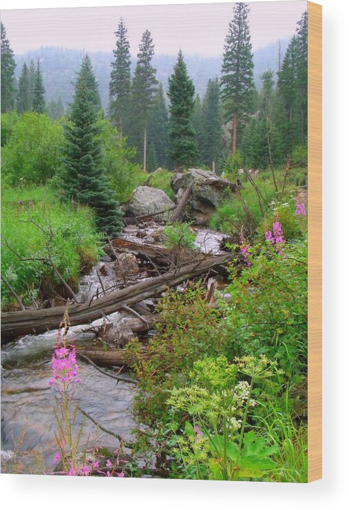 Colorado Wood Print featuring the photograph Misty Mountain #1 by Jessica Myscofski