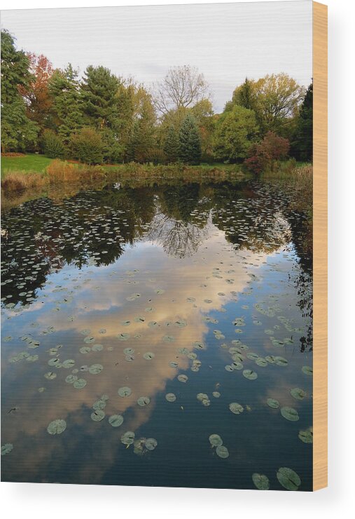 Water Wood Print featuring the photograph Reflective Pool #1 by Azthet Photography