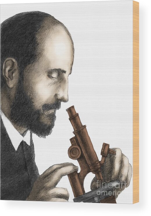 People Wood Print featuring the photograph Santiago Ramon Y Cajal, Scientist #2 by Spencer Sutton