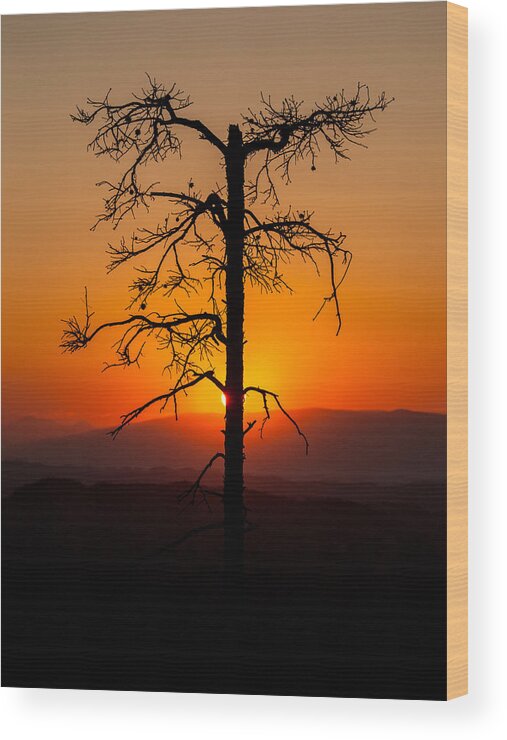 Landscape Wood Print featuring the photograph Serenity #1 by Davorin Mance