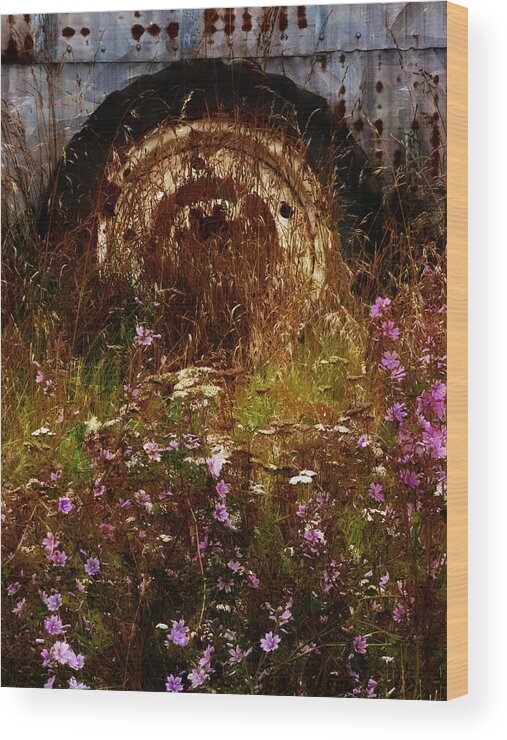 Building; Canterbury; Christchurch; Corrugated; Farm; Flora; Flower; Grass; Iron; New Zealand; Nz; Plant; South Island; Weeds; Rust Wood Print featuring the photograph The Spare Wheel #1 by Steve Taylor