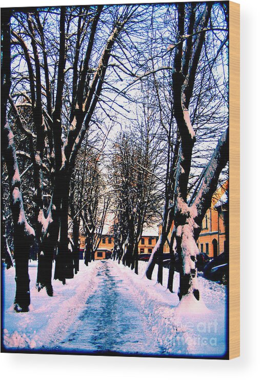 Winter Wood Print featuring the photograph Winter #1 by Nina Ficur Feenan